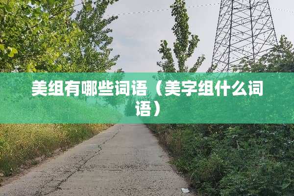 美组有哪些词语（美字组什么词语）