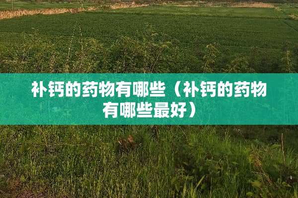 补钙的药物有哪些（补钙的药物有哪些最好）