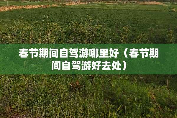 春节期间自驾游哪里好（春节期间自驾游好去处）