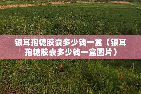 银耳孢糖胶囊多少钱一盒（银耳孢糖胶囊多少钱一盒图片）