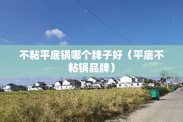不粘平底锅哪个牌子好（平底不粘锅品牌）