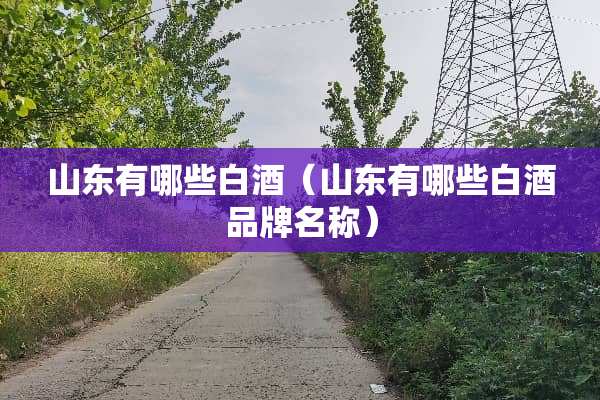 山东有哪些白酒（山东有哪些白酒品牌名称）
