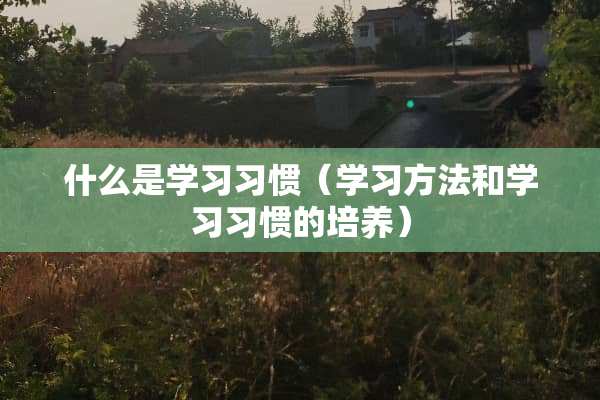 什么是学习习惯（学习方法和学习习惯的培养）