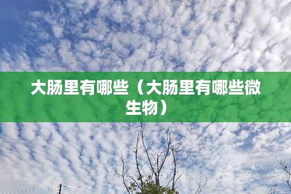 大肠里有哪些（大肠里有哪些微生物）
