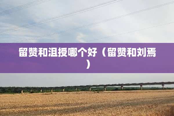 留赞和沮授哪个好（留赞和刘焉）