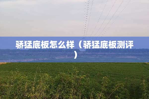 骄猛底板怎么样（骄猛底板测评）