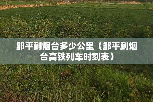 邹平到烟台多少公里（邹平到烟台高铁列车时刻表）