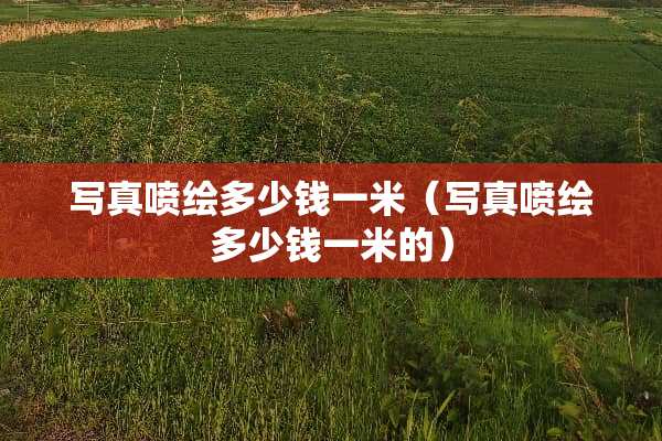 **喷绘多少钱一米（**喷绘多少钱一米的）