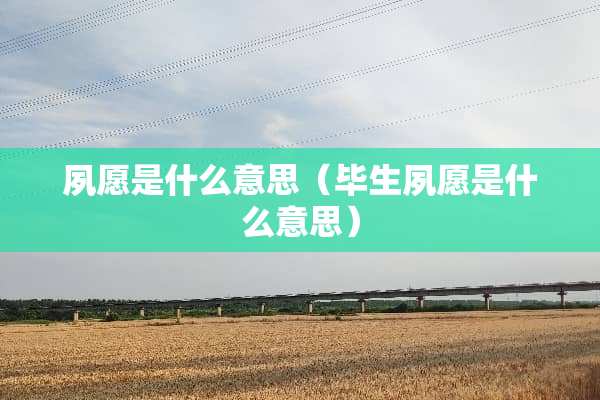 夙愿是什么意思（毕生夙愿是什么意思）