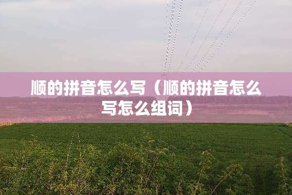 顺的拼音怎么写（顺的拼音怎么写怎么组词）