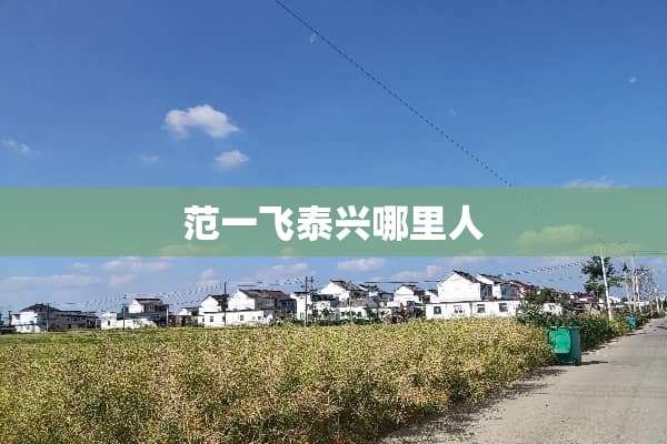 范一飞泰兴哪里人