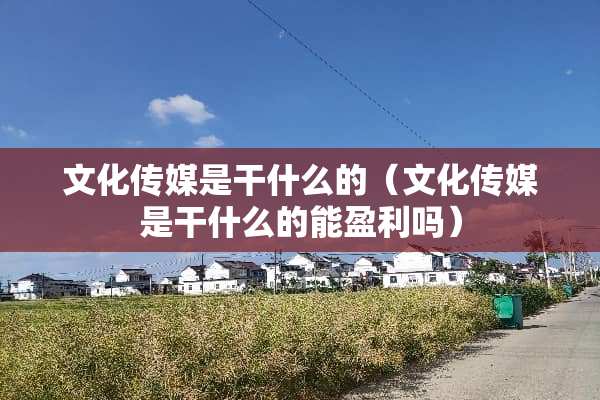 文化传媒是干什么的（文化传媒是干什么的能盈利吗）