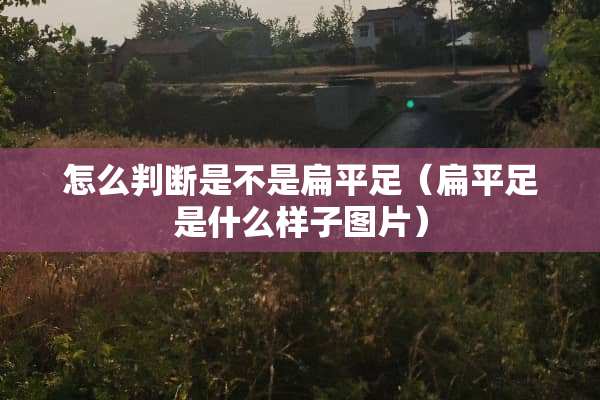 怎么判断是不是扁平足（扁平足是什么样子图片）