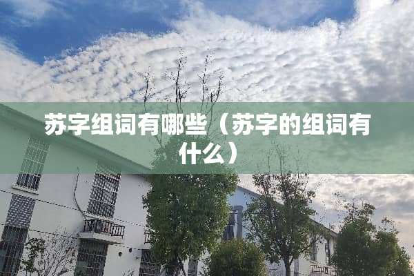 苏字组词有哪些（苏字的组词有什么）