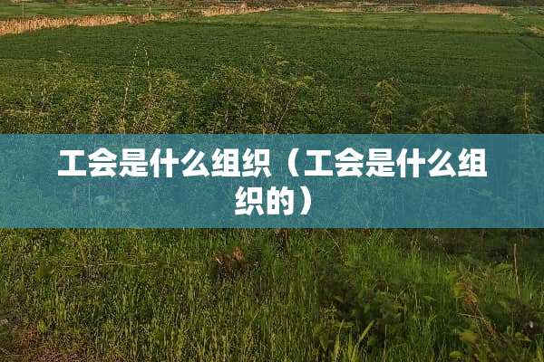 工会是什么组织（工会是什么组织的）