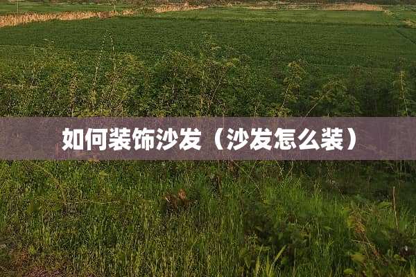 如何装饰沙发（沙发怎么装）