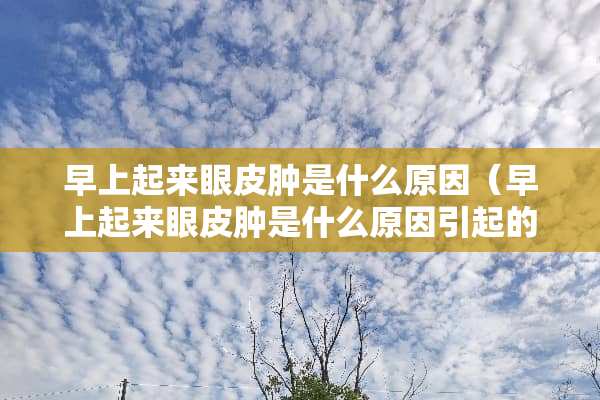 早上起来眼皮肿是什么原因（早上起来眼皮肿是什么原因引起的）