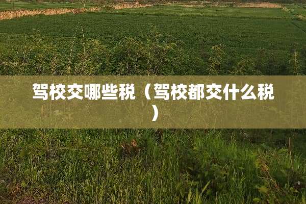 驾校交哪些税（驾校都交什么税）
