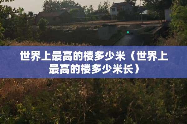 世界上最高的楼多少米（世界上最高的楼多少米长）
