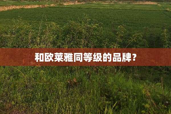 和欧莱雅同等级的品牌？