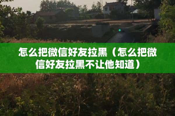 怎么把微信好友拉黑（怎么把微信好友拉黑不让他知道）