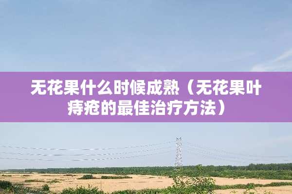 无花果什么时候成熟（无花果叶痔疮的最佳治疗方法）