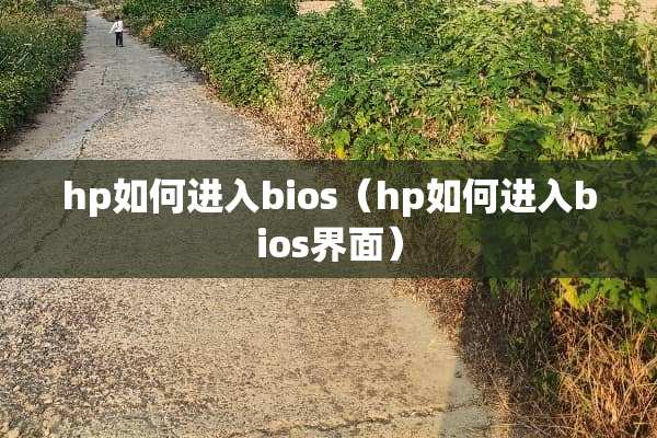 hp如何进入bios（hp如何进入bios界面）