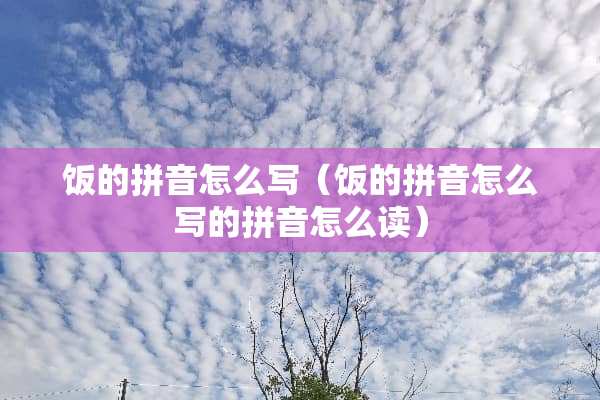 饭的拼音怎么写（饭的拼音怎么写的拼音怎么读）
