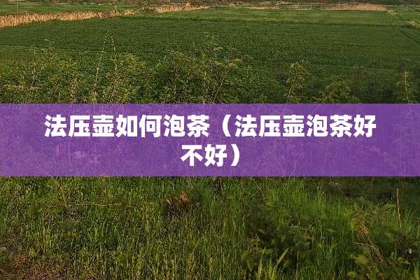 法压壶如何泡茶（法压壶泡茶好不好）