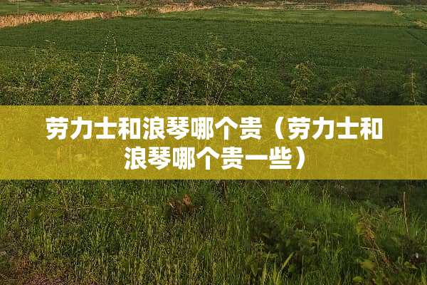 劳力士和浪琴哪个贵（劳力士和浪琴哪个贵一些）