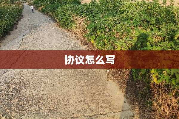 协议怎么写