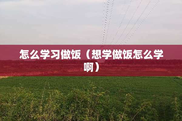 怎么学习做饭（想学做饭怎么学啊）