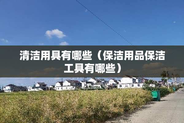 清洁用具有哪些（保洁用品保洁工具有哪些）