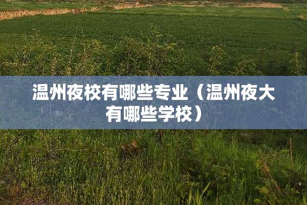 温州夜校有哪些专业（温州夜大有哪些学校）