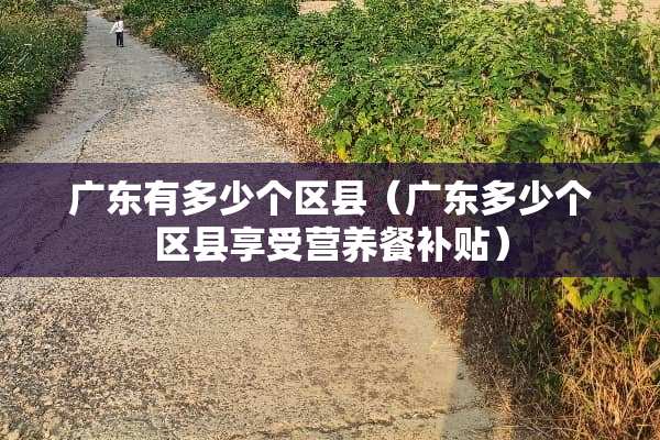 广东有多少个区县（广东多少个区县享受营养餐补贴）