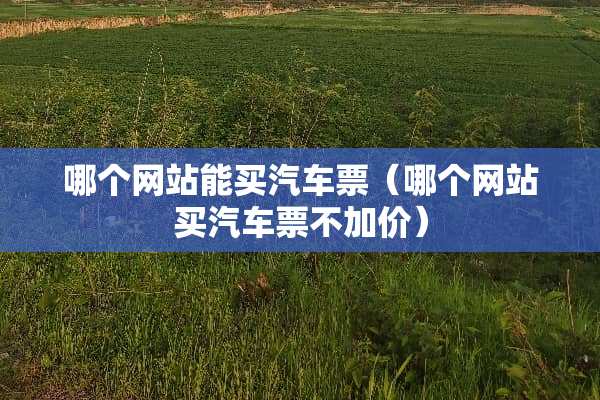 哪个网站能买汽车票（哪个网站买汽车票不加价）