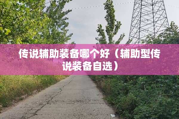 传说辅助装备哪个好（辅助型传说装备自选）