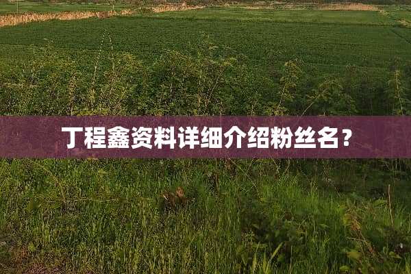 丁程鑫资料详细介绍粉丝名？
