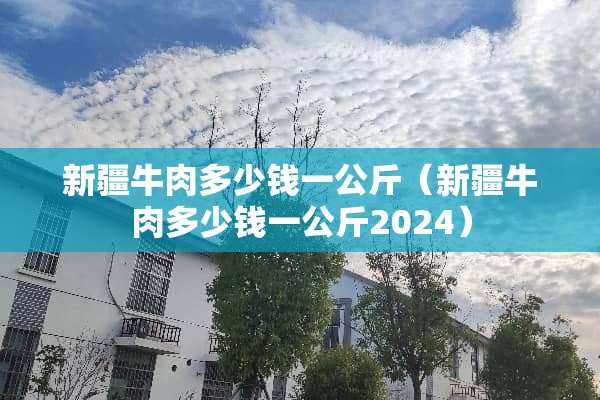 新疆牛肉多少钱一公斤（新疆牛肉多少钱一公斤2024）