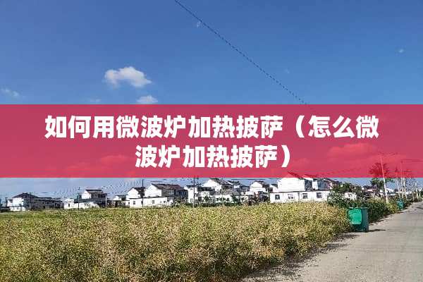 如何用微波炉加热披萨（怎么微波炉加热披萨）