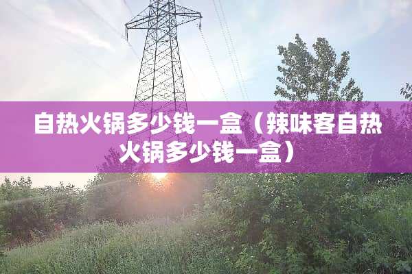 自热火锅多少钱一盒（辣味客自热火锅多少钱一盒）