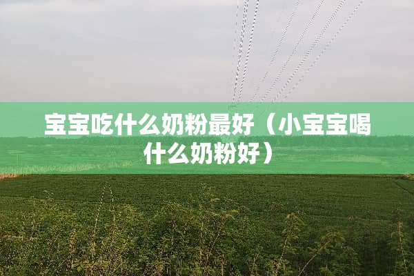 宝宝吃什么奶粉最好（小宝宝喝什么奶粉好）