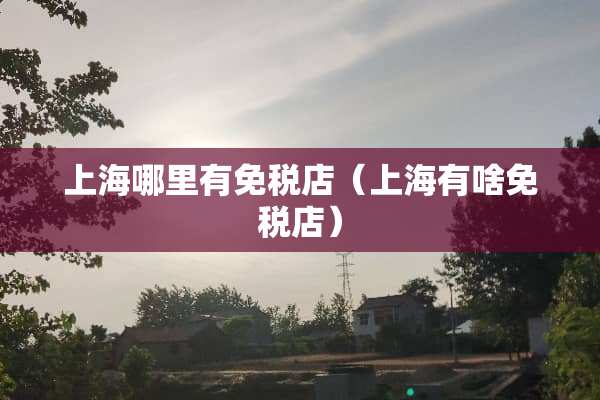 上海哪里有免税店（上海有啥免税店）