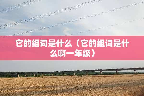 它的组词是什么（它的组词是什么啊一年级）
