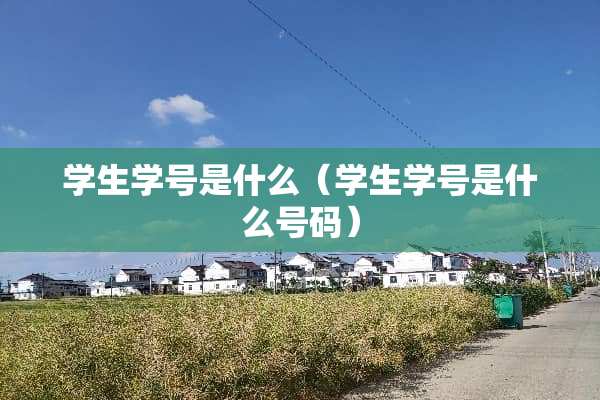学生学号是什么（学生学号是什么号码）