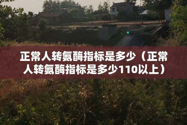 正常人转氨酶指标是多少（正常人转氨酶指标是多少110以上）