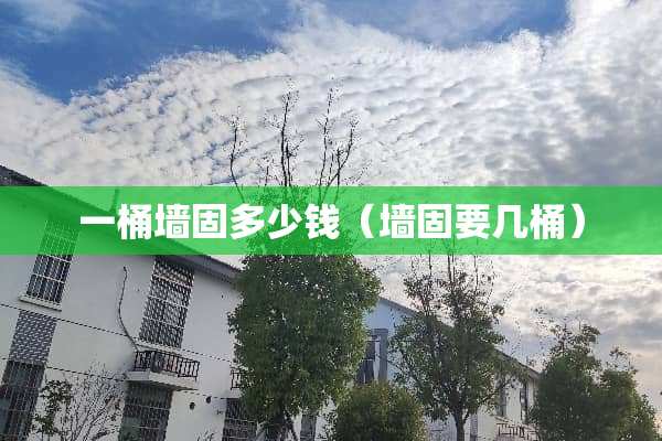 一桶墙固多少钱（墙固要几桶）