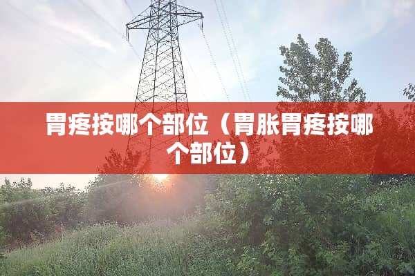 胃疼按哪个部位（胃胀胃疼按哪个部位）