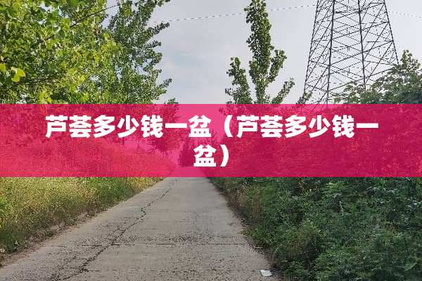 芦荟多少钱一盆（芦荟多少钱一盆）