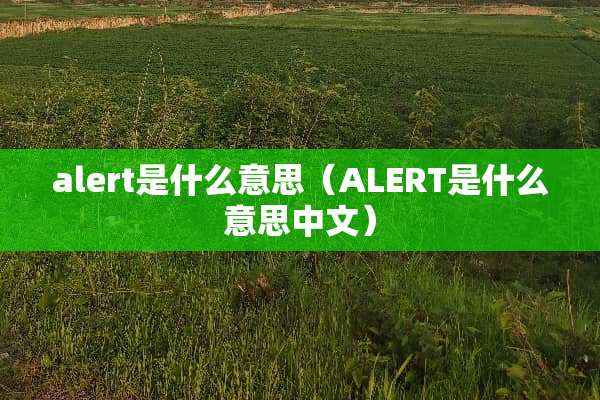 alert是什么意思（ALERT是什么意思中文）
